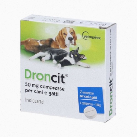 praziquantel